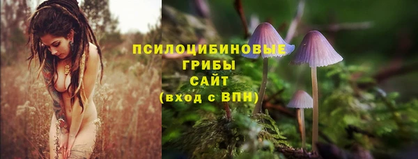 дмт Богородск