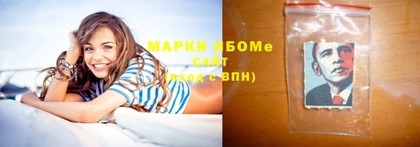 метадон Богданович