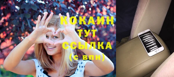 метадон Богданович
