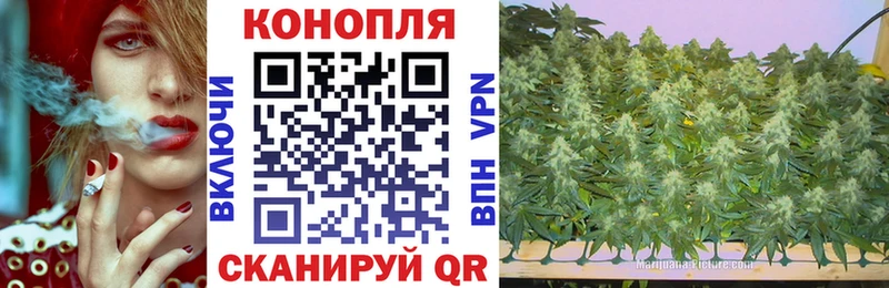 Купить закладки  Лабинск  Шишки марихуана ГИДРОПОН 